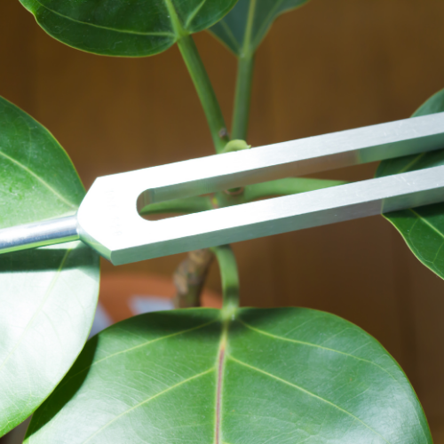 diapason therapeutique rennes